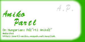 aniko partl business card